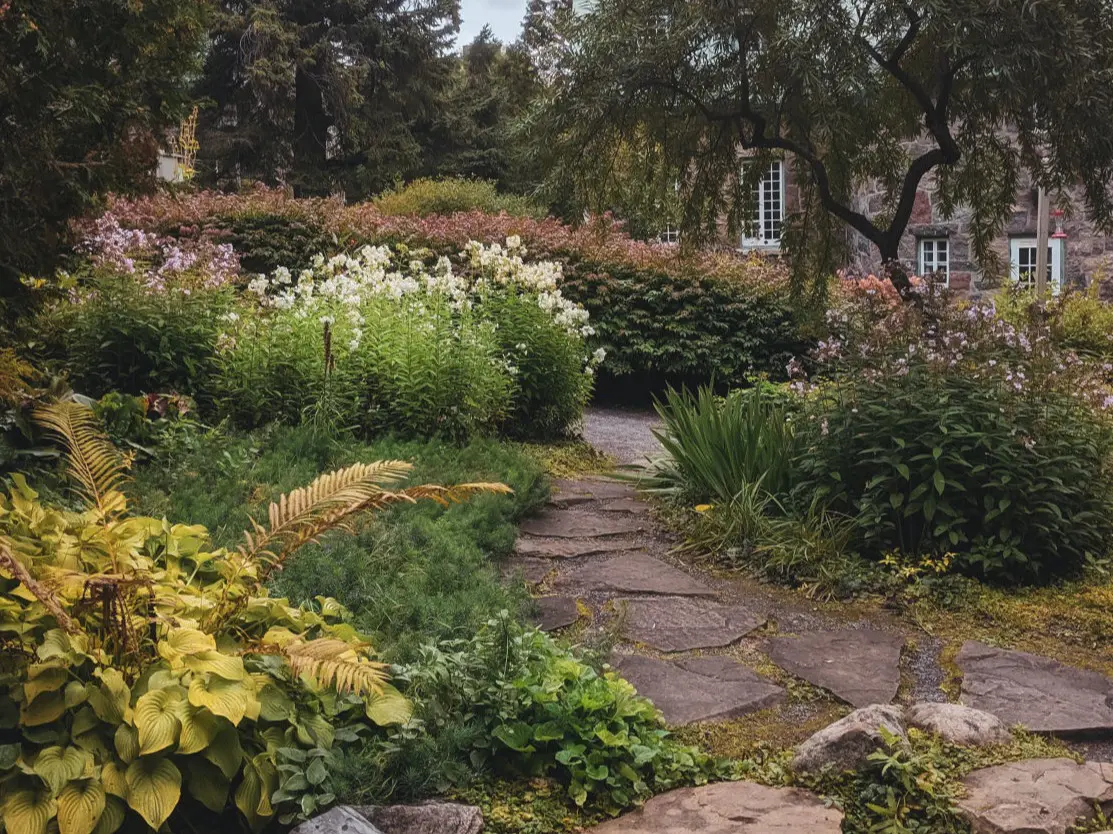 Landscaped Xeriscaped Flagstone Walkway with Plants