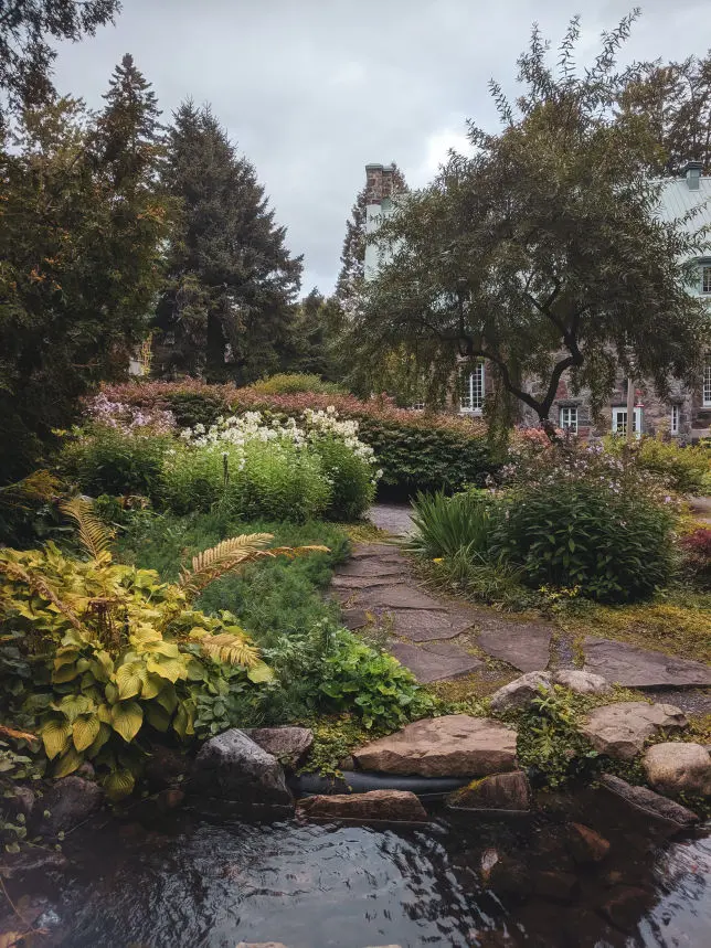 Xeriscaped plants and walkway